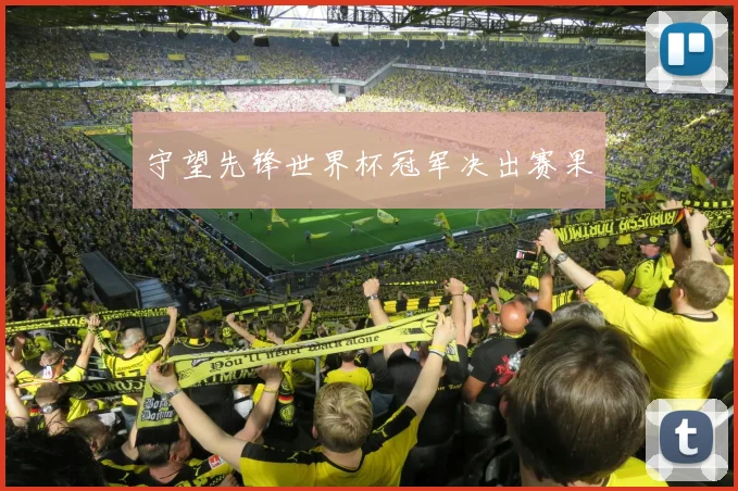 守望先锋世界杯冠军决出赛果