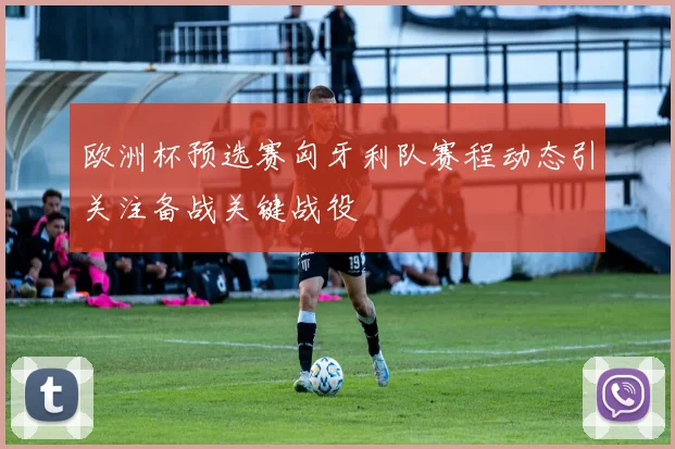 欧洲杯预选赛匈牙利队赛程动态引关注备战关键战役